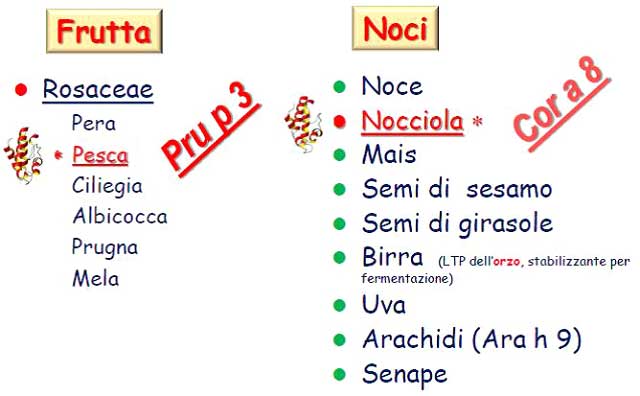 allergeni_frutta_noci