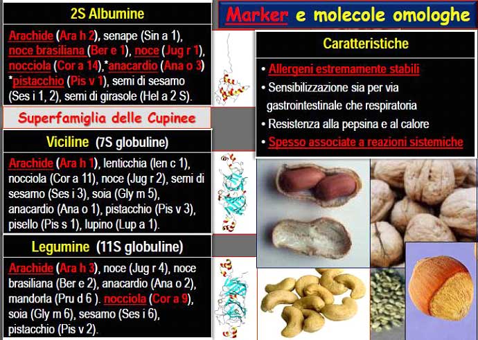 allergia_proteine_deposito