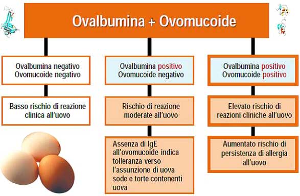 ovalbumina_ovomucoide